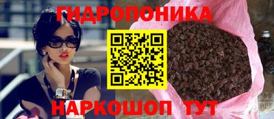 СК Волжск