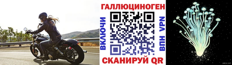 Галлюциногенные грибы Psilocybe Заинск