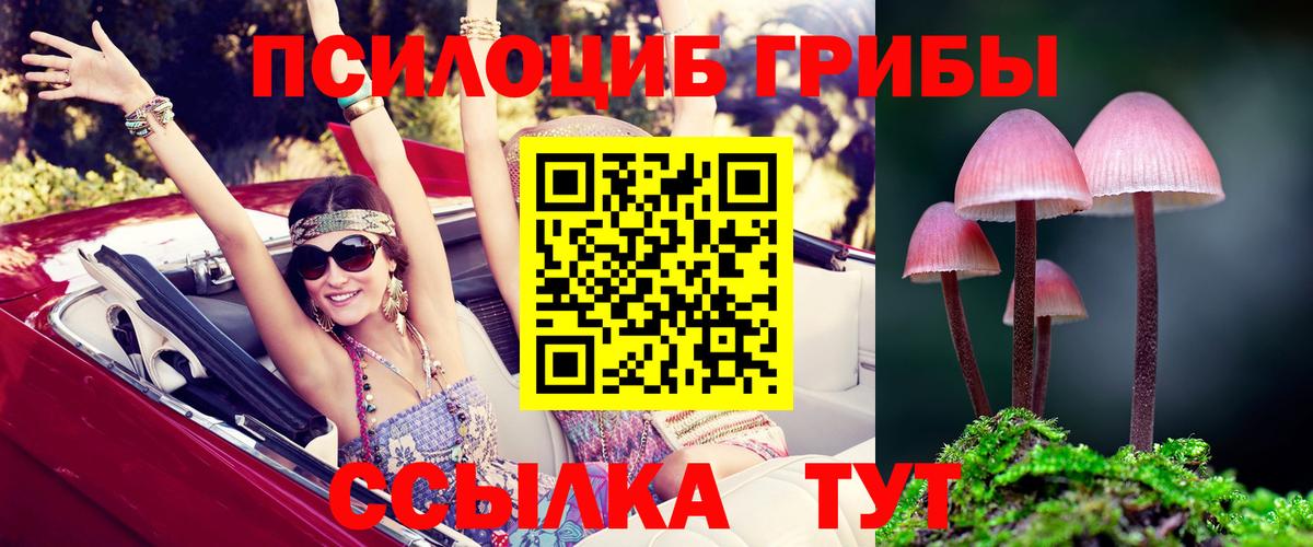 Галлюциногенные грибы GOLDEN TEACHER Заинск