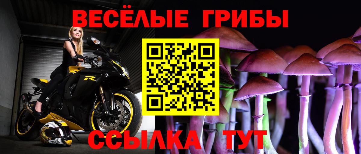 Псилоцибиновые грибы Magic Shrooms Заинск