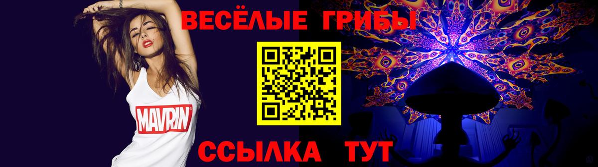 Псилоцибиновые грибы GOLDEN TEACHER  Галлюциногенные грибы Psilocybine cubensis  Заинск 